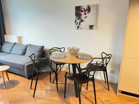 Piękny, nowy apartament LEŚNYCH SKRZATÓW w Poznaniu, photo 4 of 10