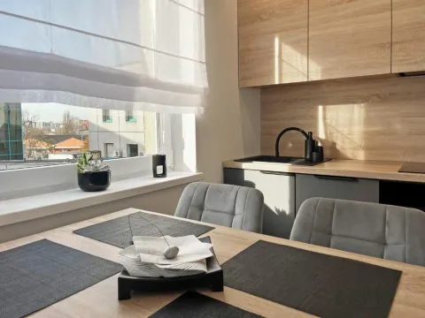 Poznań Wilda -Apartament Fabryczna, photo 5 of 10