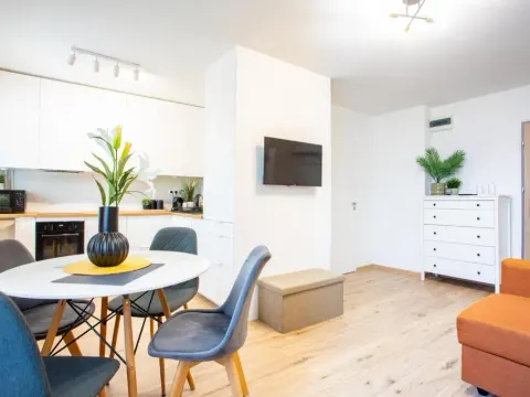 Apartament Zwycięstwa 20 - Winogrady, photo 5 of 10
