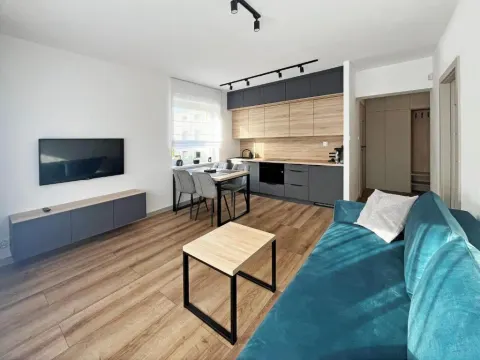 Poznań Wilda -Apartament Fabryczna, photo 9 of 10