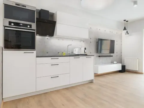 Venezia Apartment, photo 9 of 10