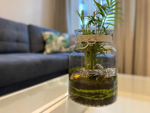 Apartament URBAN JUNGLE!, photo 10 of 10