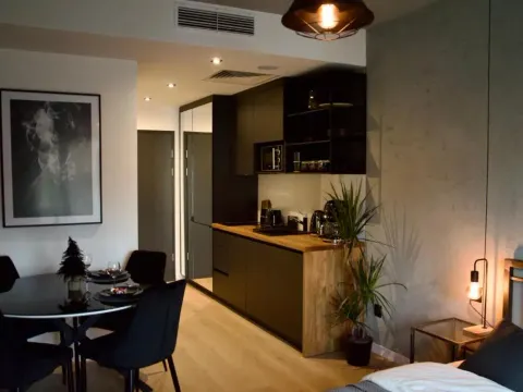 Liberty Apartments 512, photo 4 of 10
