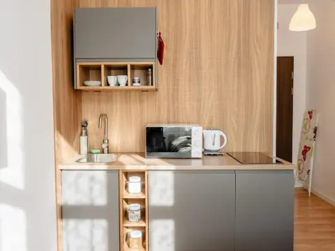 Elegant Very Berry Studios in Poznań Center by Noclegi Renters, photo 10 of 10